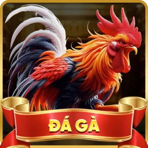 Hỗ trợ khách hàng 24/7, i9bet141 code