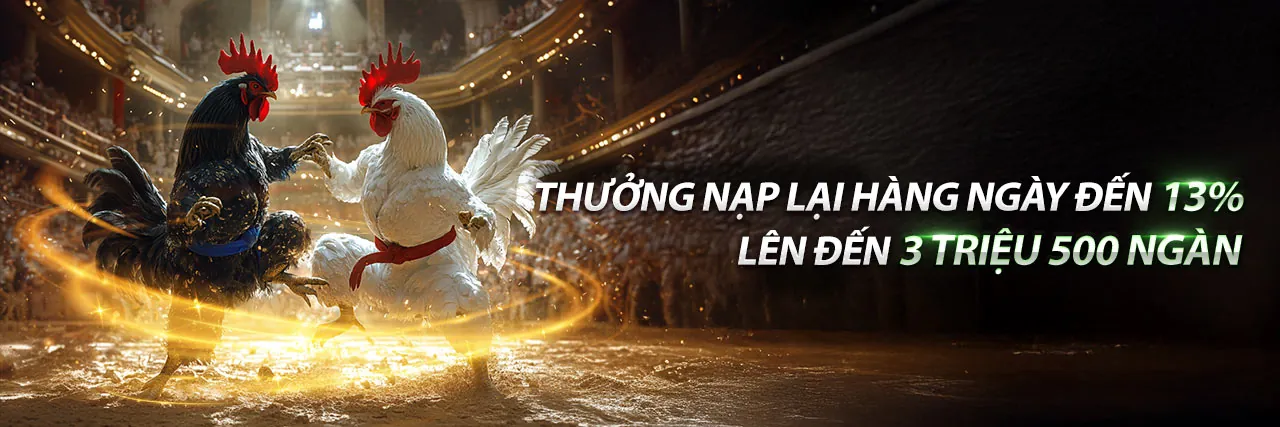 Trận đấu đá gà kịch tính tại i9bet141 code